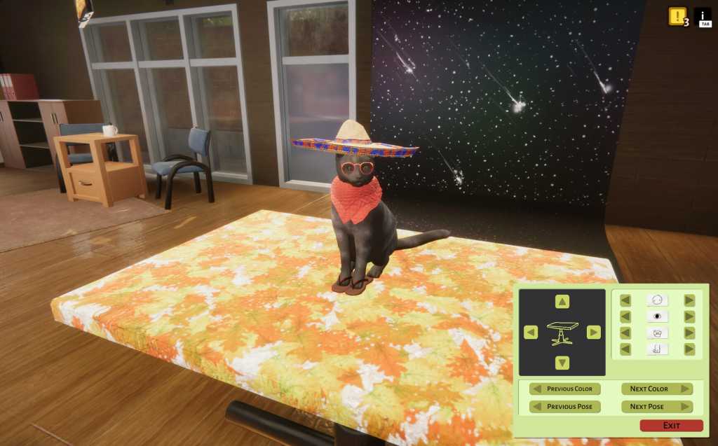 动物收容所/Animal Shelter