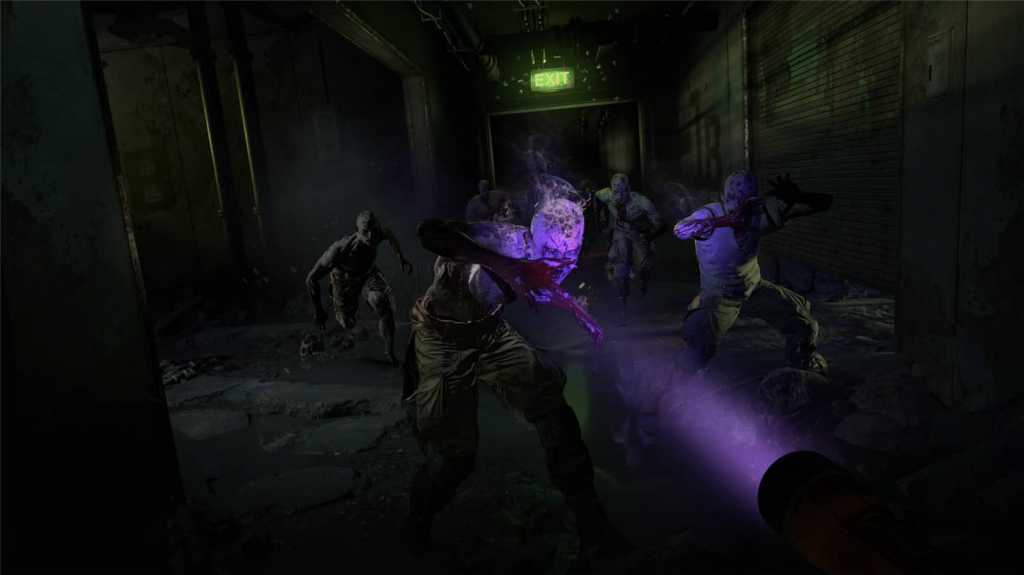 消逝的光芒2：人与仁之战/Dying Light 2 Stay Human/支持网络联机