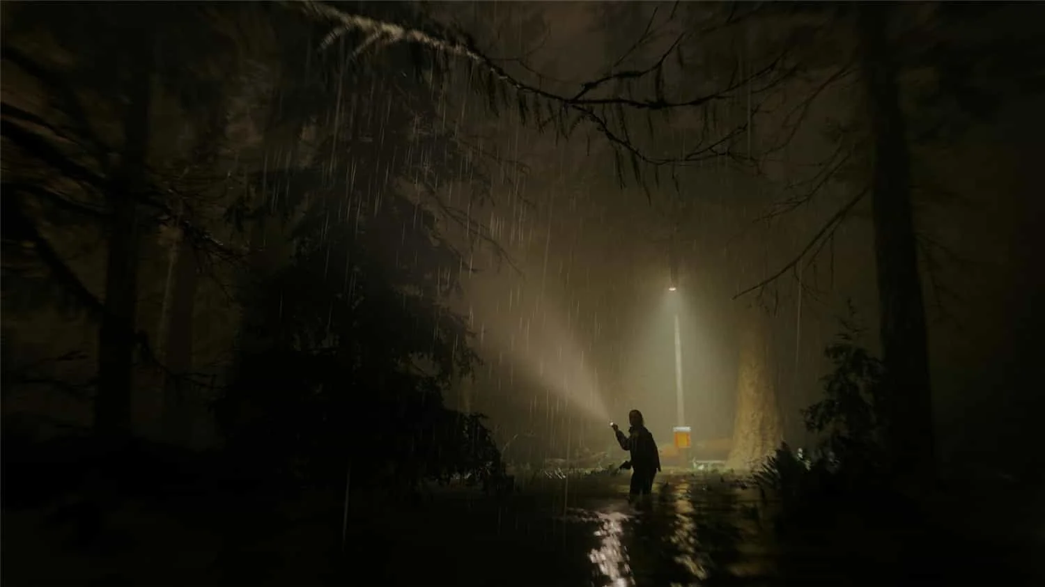 心灵杀手2/Alan Wake 2