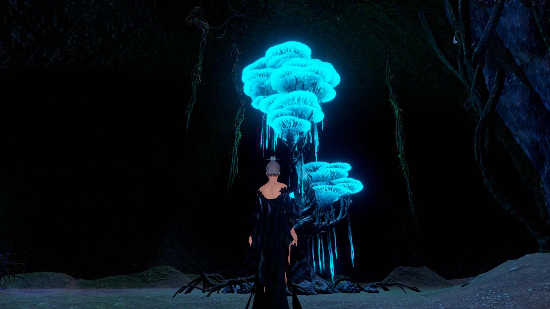 轮回修仙路/Lunhuixiuxianlu