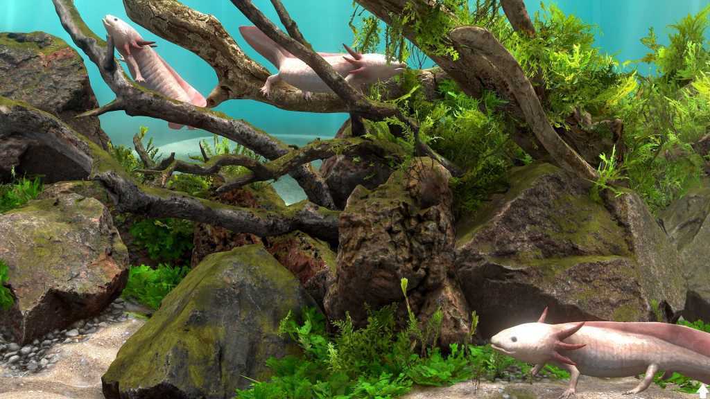 玻璃背后：水族馆模拟器/Behind Glass: Aquarium Simulator