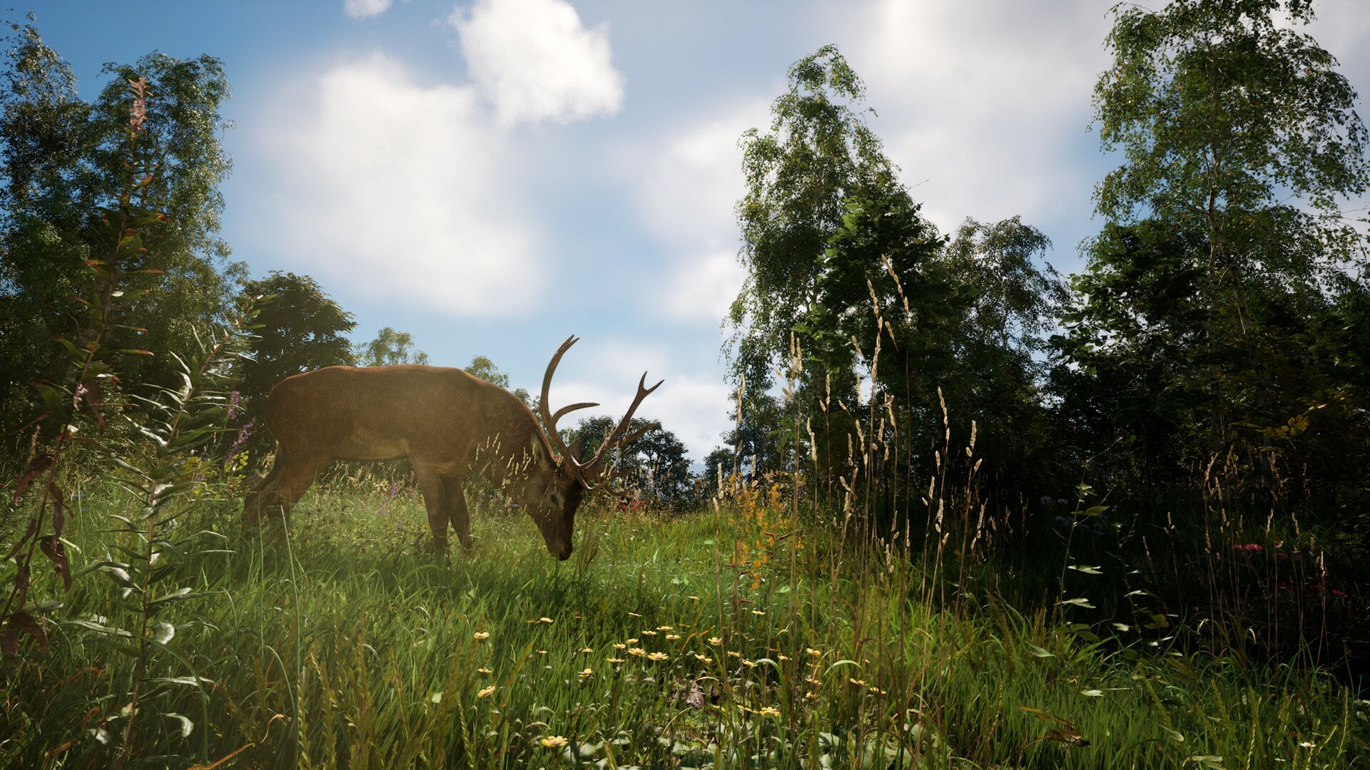 恐惧地带/DREADZONE