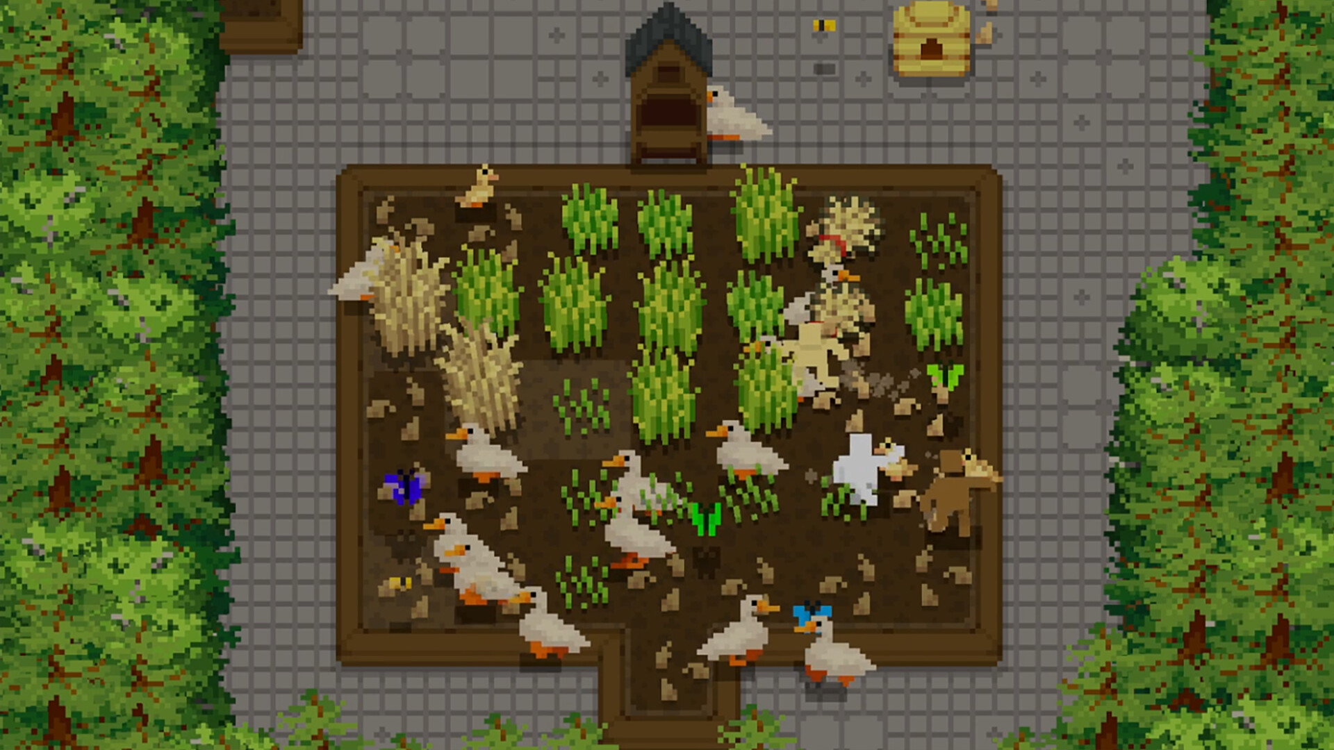 小梯田/Tiny Terraces