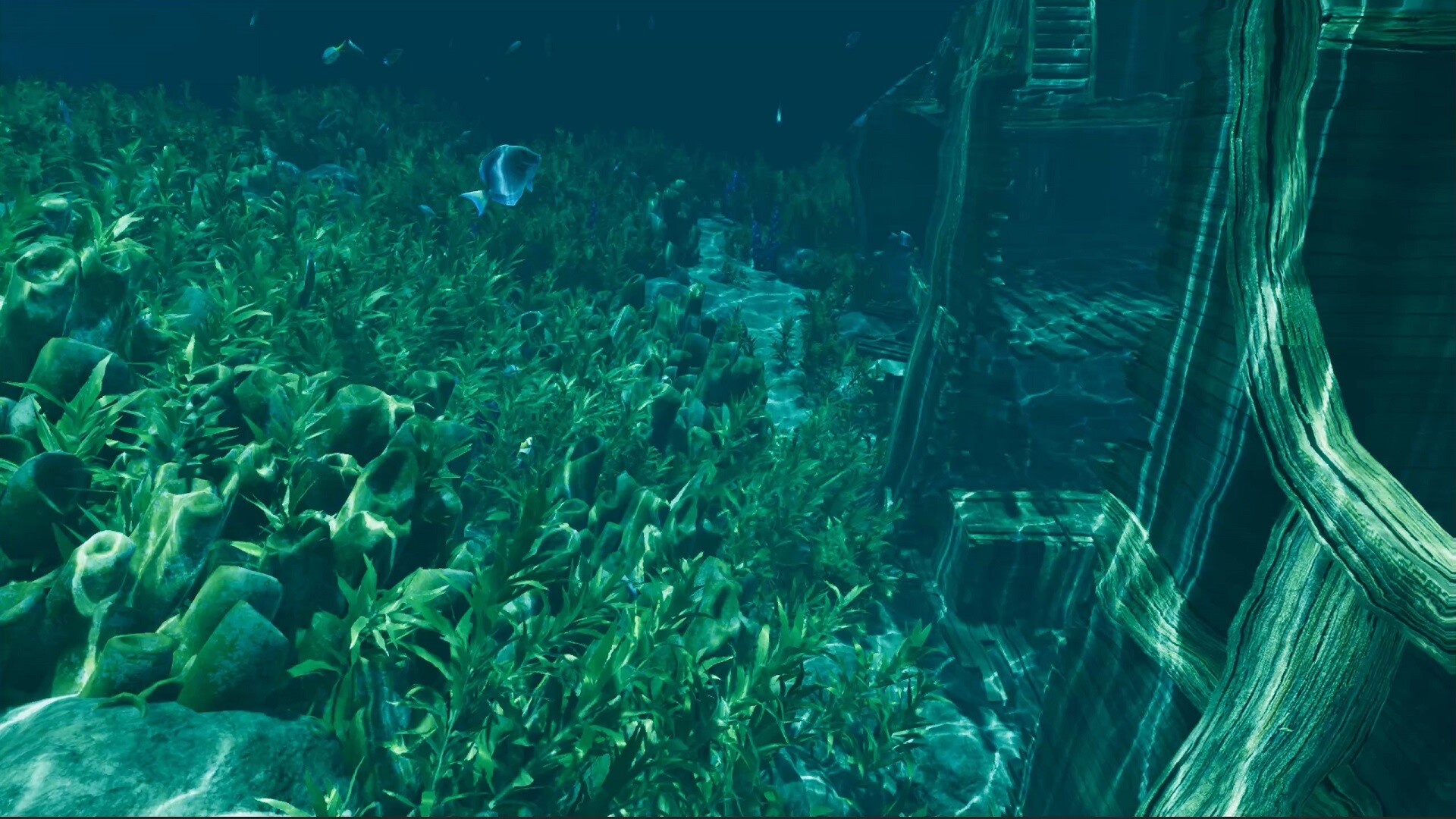 孤岛笔记/Island Notes