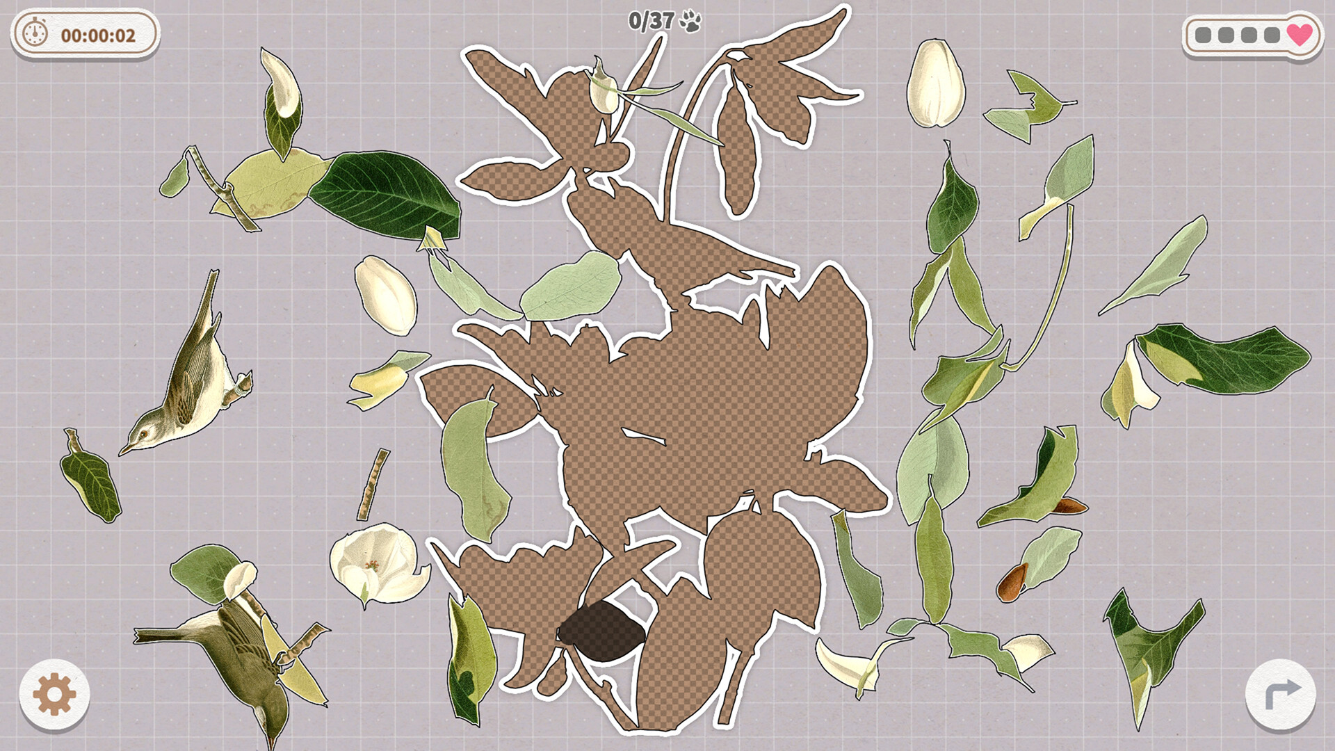 挤在一起的鸟鸟/Birds Huddled Together