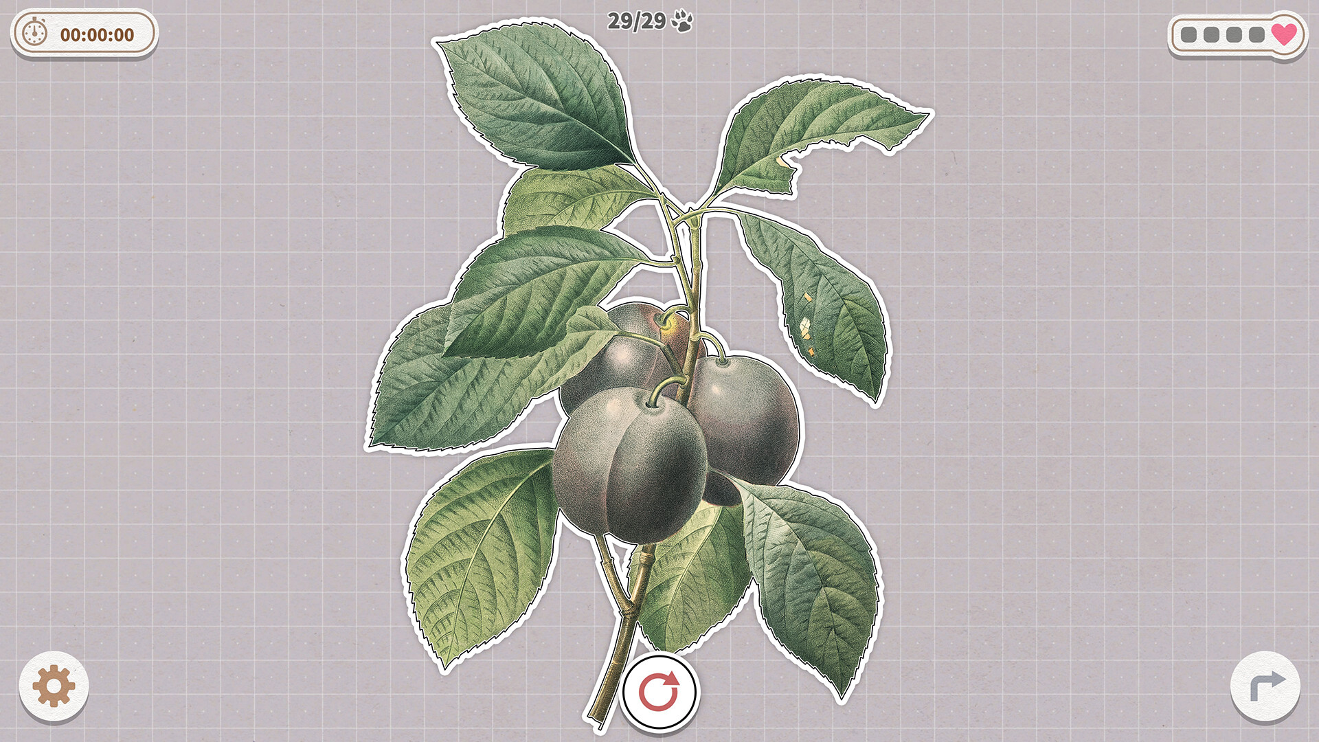 挤在一起的植物/Plants Huddled Together