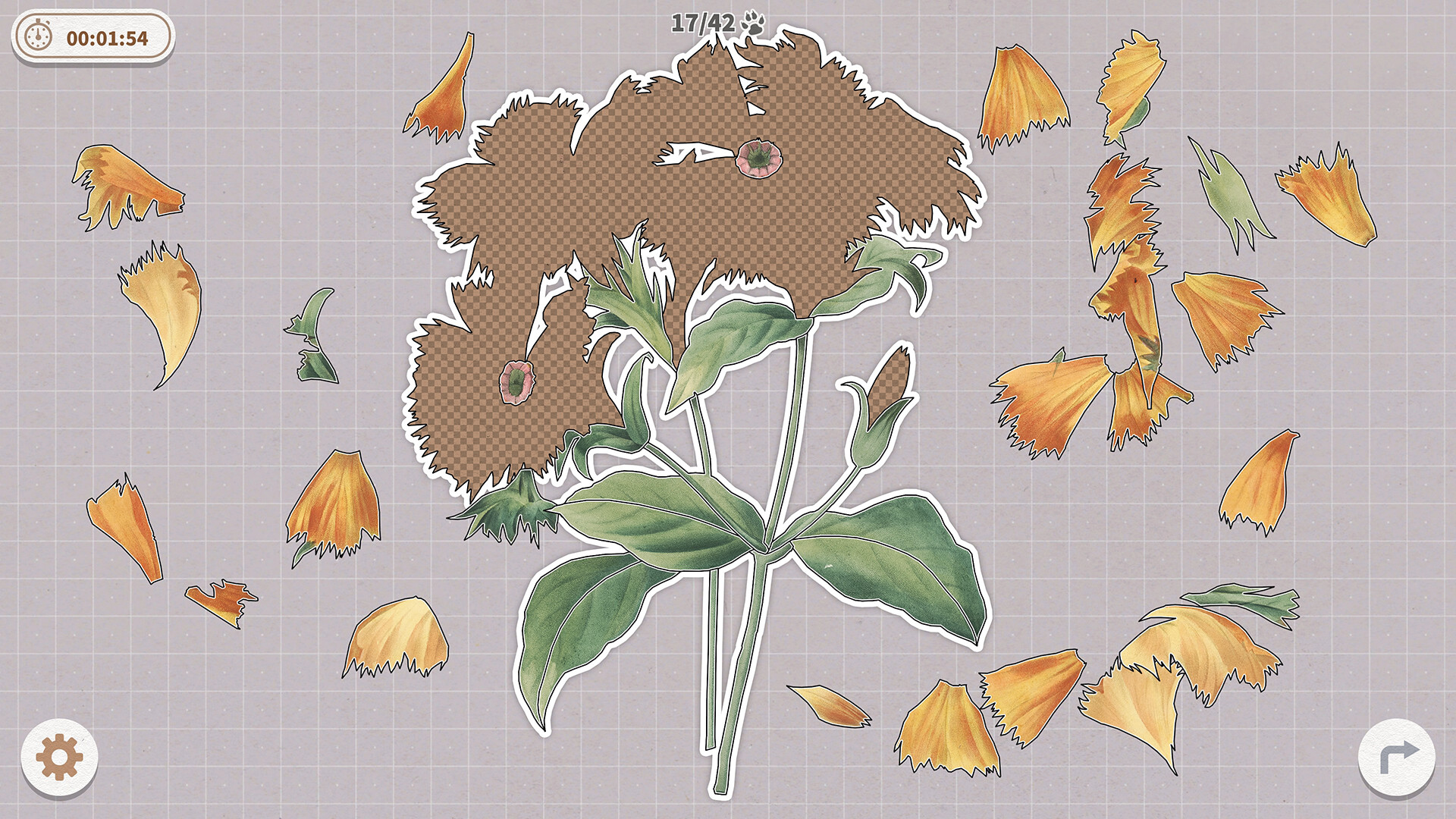 挤在一起的植物/Plants Huddled Together